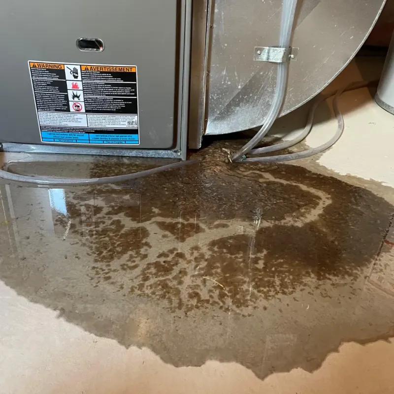 Appliance Leak Cleanup in Falls Church, VA